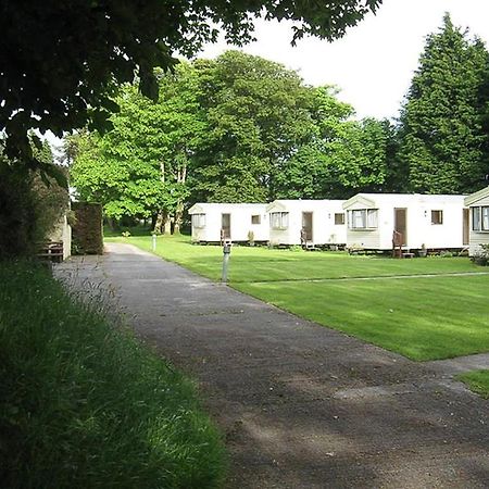 Cosy Caravan At Blackmoor Farm Ludchurch Dış mekan fotoğraf